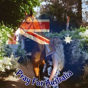 Meet your Posher, Libby